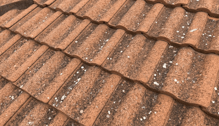 Roof cleaning and moss and mould removal: Prolonging the life of your roof and maintaining its aesthetic appeal