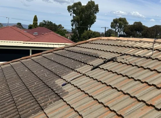 Roof cleaning Adelaide professionals removing moss and dirt