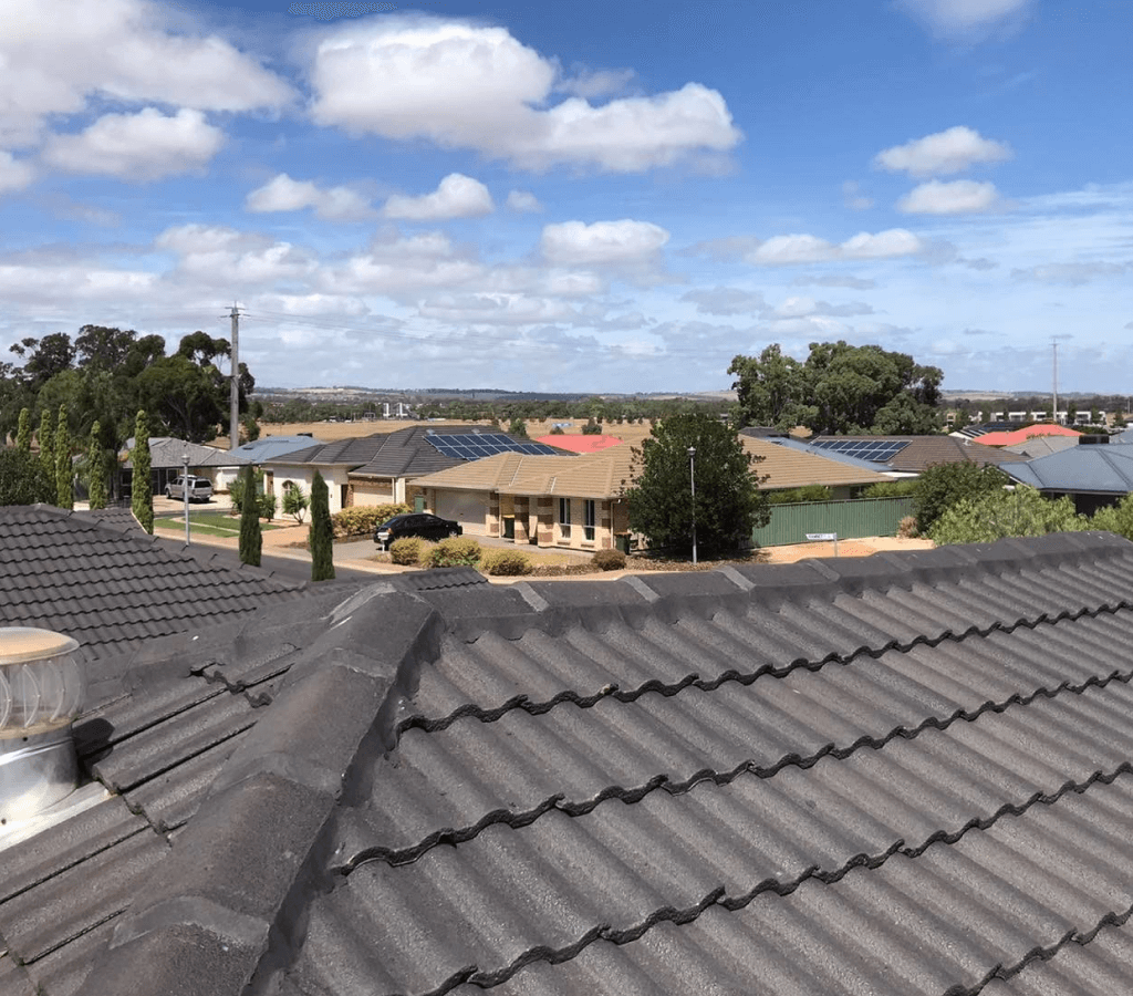 Roof restoration Adelaide experts cleaning tiles